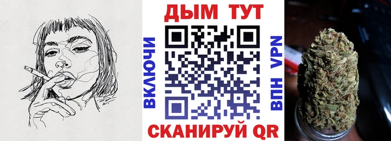 Конопля гибрид  Темников 